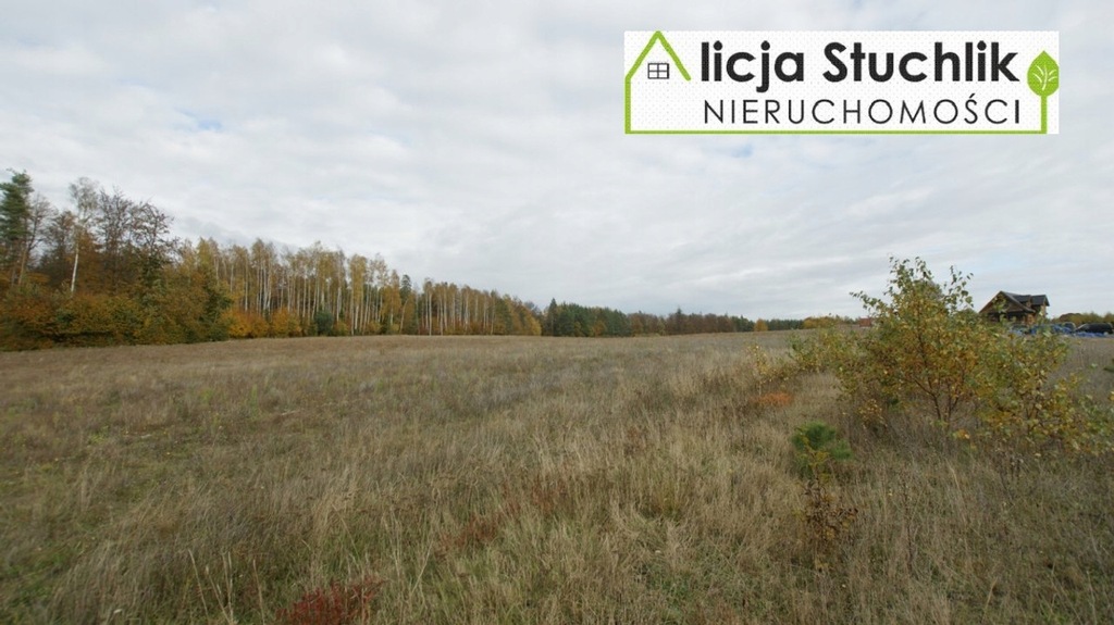Działka, Grabowiec, Szemud (gm.), 1149 m²