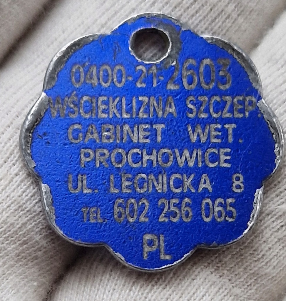 Psi numerek Prochowice Legnica