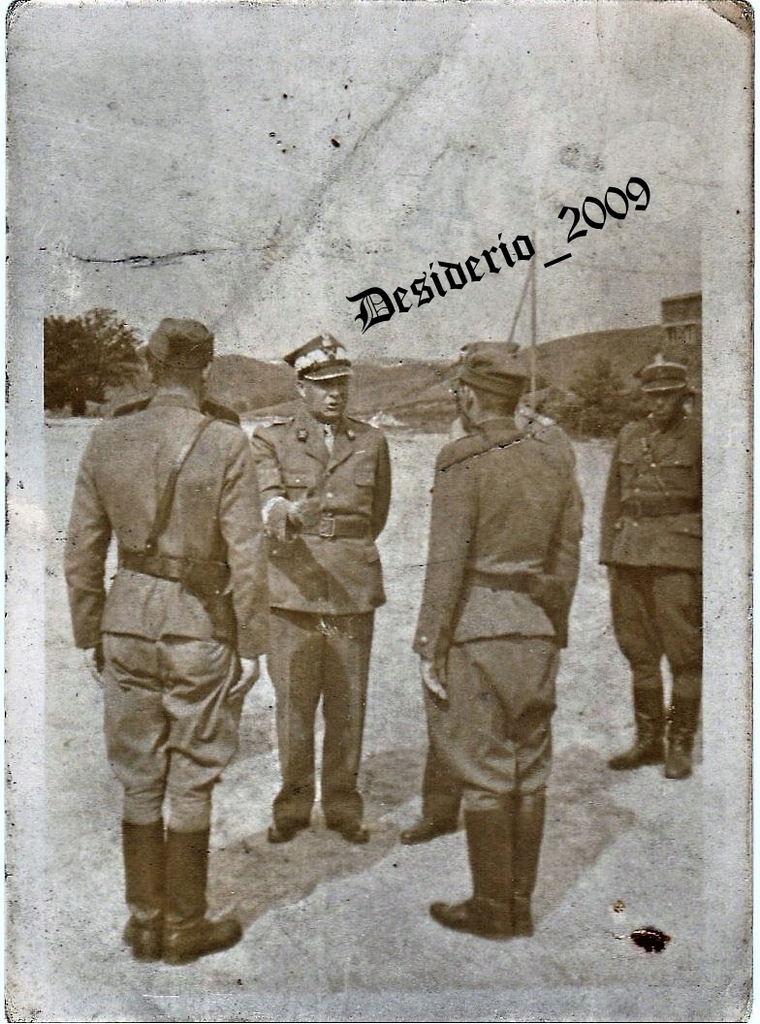 MICHAŁ ROLAŻYMIERSKI!!! 12126315999 oficjalne archiwum Allegro