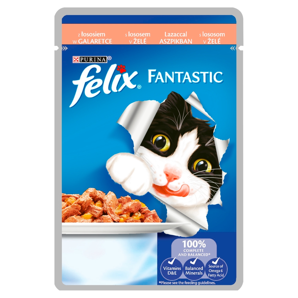 FELIX FANTASTIC Łosoś 100g ________________