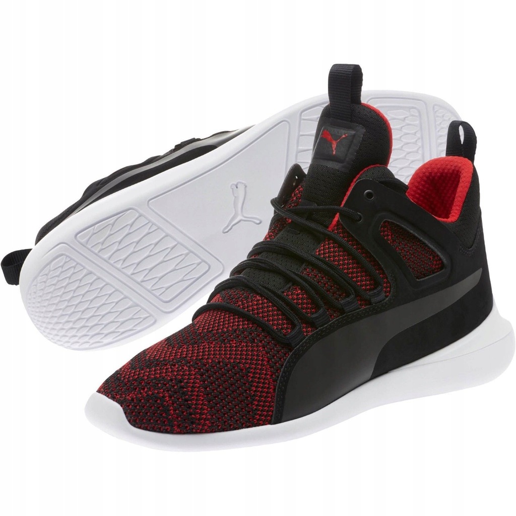 puma ferrari evo cat