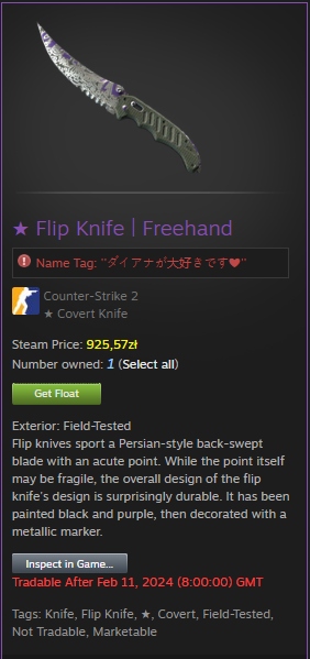 Flip Knife Freehand Field-tested CS2