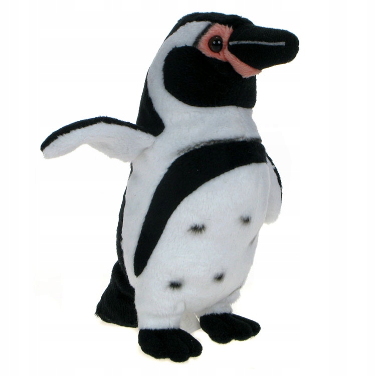 ZOO maskotka Pingwin przylądkowy toniec 17cm 84303