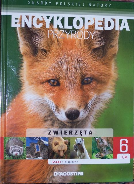 Encyklopedia przyrody - drapieżne