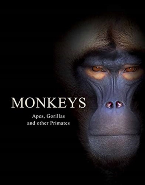 Monkeys : Apes, Gorillas and other Primates Tom Jackson