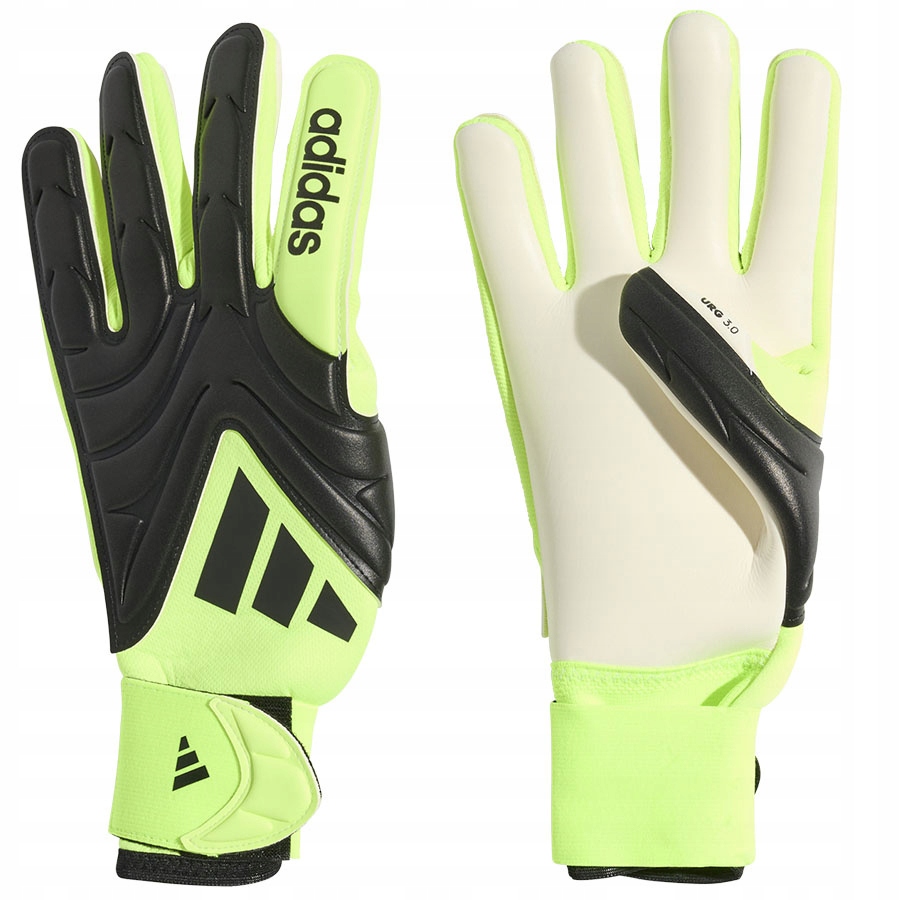 ADIDAS COPA GL LGE (8) Rękawice Unisex Czarny