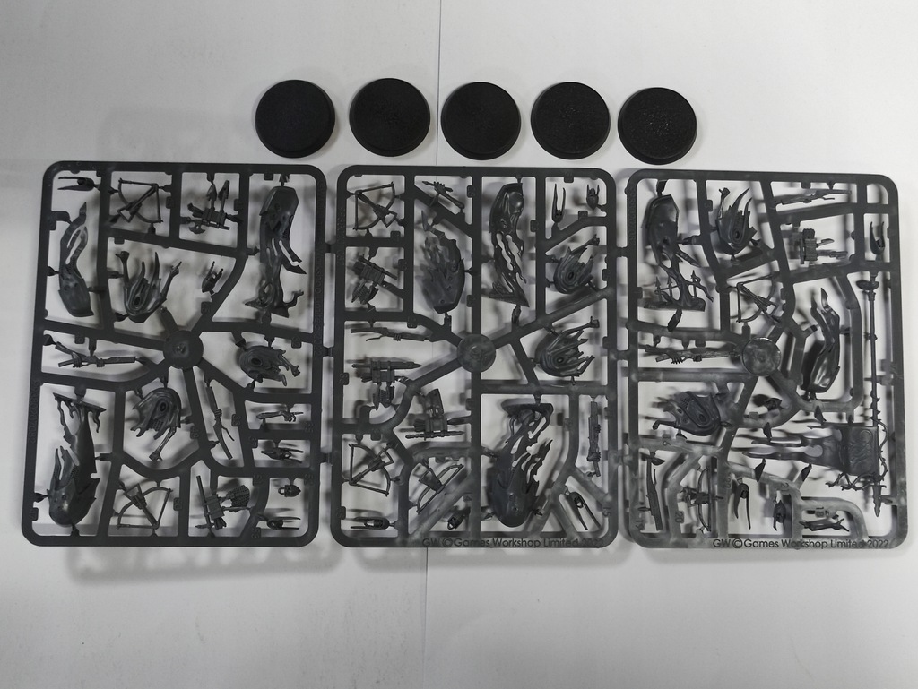 Age of Sigmar Craventhrone Guard (5 modeli)