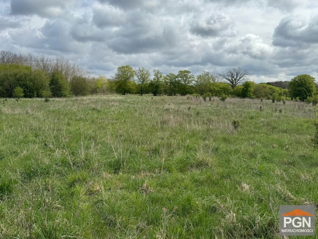 Działka, Grębowo, Kamień Pomorski, Kamieński, 3000 m²
