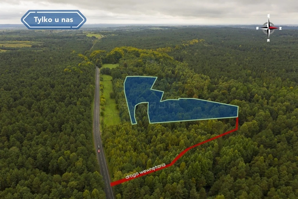Działka, Moczydło, Niegowa (gm.), 19692 m²