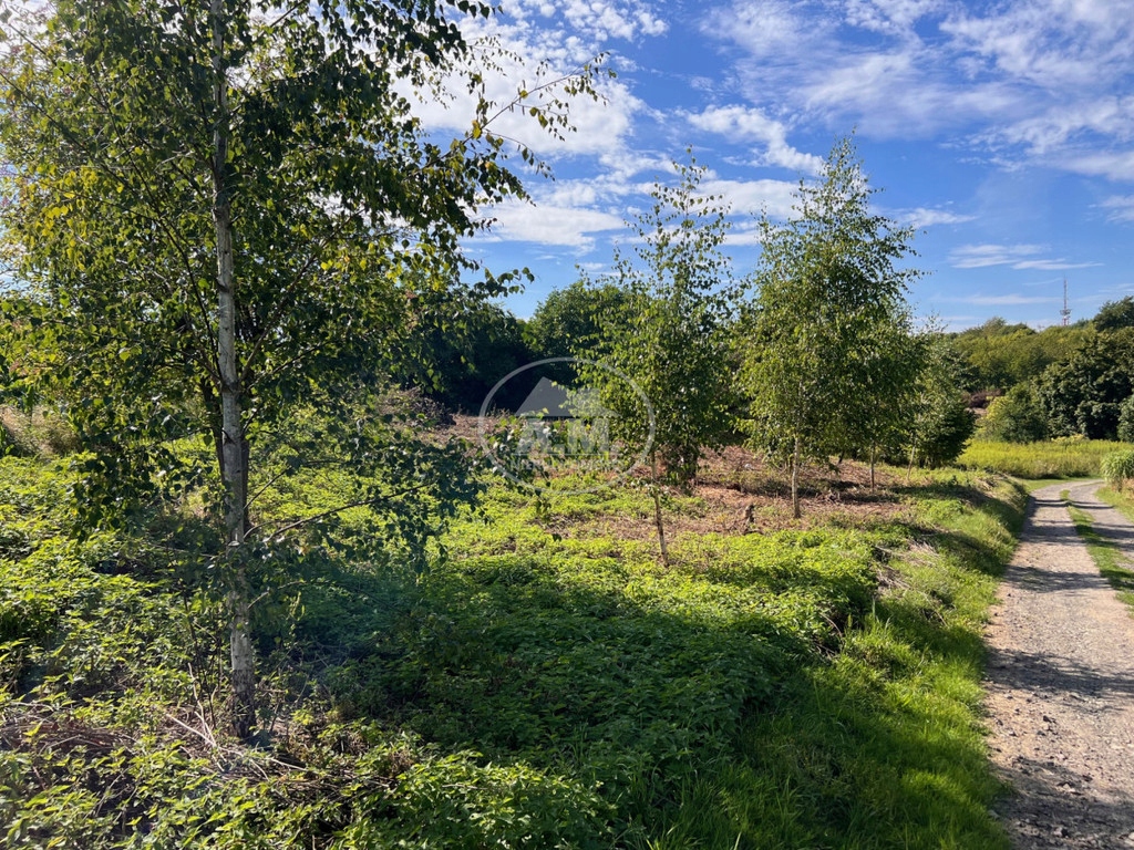 Działka, Trzebnica, Trzebnica, Trzebnicki, 1039 m²