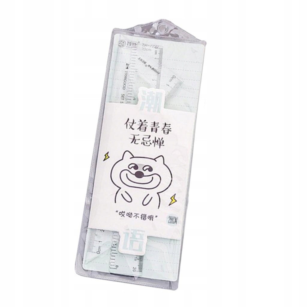 Zestaw przezroczystych linijek dla uczniów do ćwiczeń z geometrii matematyc