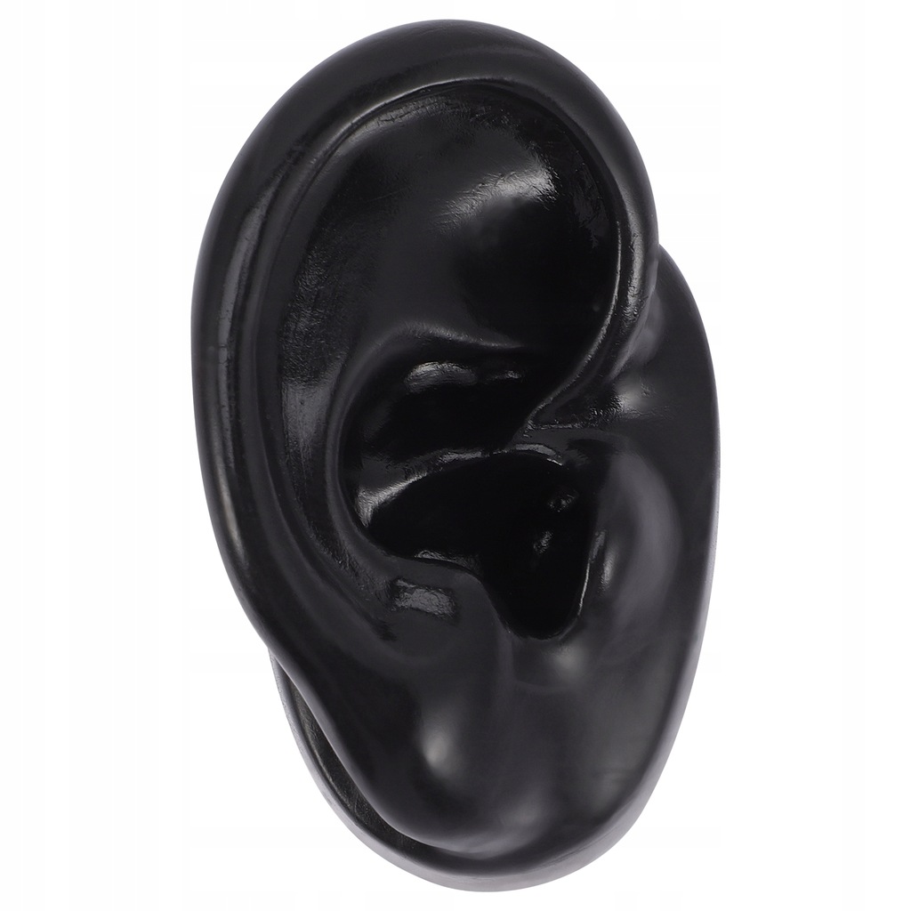 MODEL DO NAUKI PRZEKŁUWANIA SILIKONOWY I REALISTYCZNY