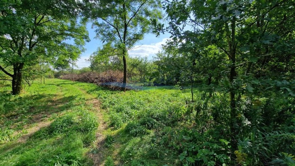 Działka, Książenice, Grodzisk Mazowiecki, Grodziski, 1664 m²