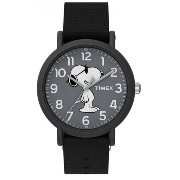 Zegarek dla dzieci Timex TW2T65700