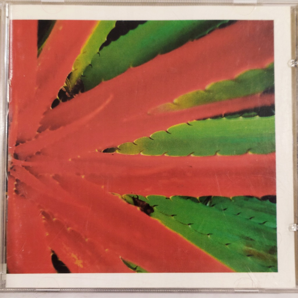 洋楽 jejune this afternoons malady CD This Afternoon's Malady – Massive Music Store