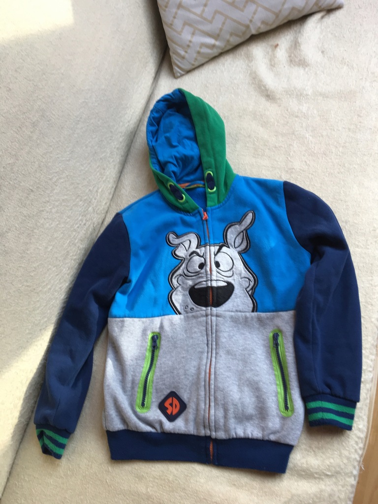 BLUZA CHŁOPIĘCA SCOOBY DOO COOL CLUB R 134 8109736637 Cool Club, Bluza chłopięca, rozmiar 170 Darmowa dostawa do