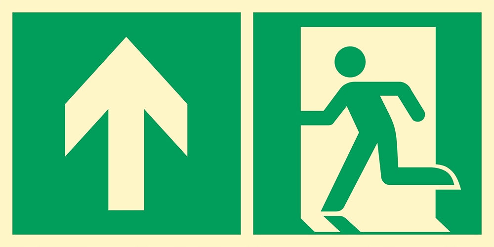 Znak Kierunek do wyjścia w górę lewostronny 30x15