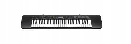 CASIO CTK-240 - Keyboard