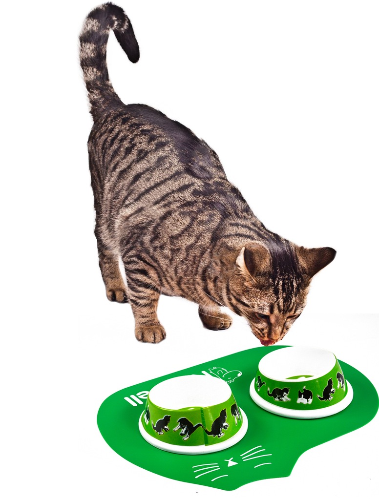 MATA PODKŁADKA POD MISKĘ DLA KOTA ANTYPOŚLIZGOWA - 6911884325