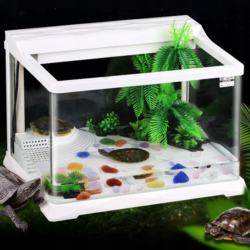 Akwarium Terrarium Dla Zolwia Wodnego Cena Zestaw 7869198782 Oficjalne Archiwum Allegro