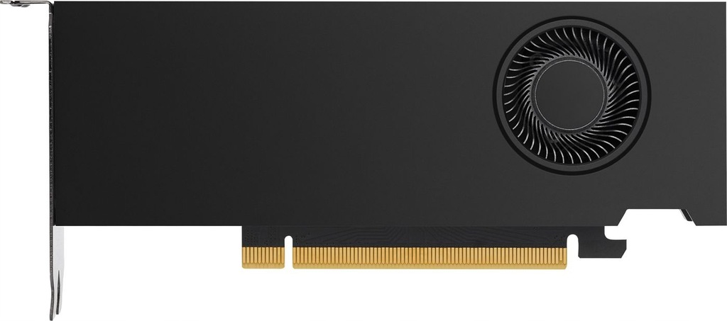 HP NVIDIA RTX A2000 - Graphics