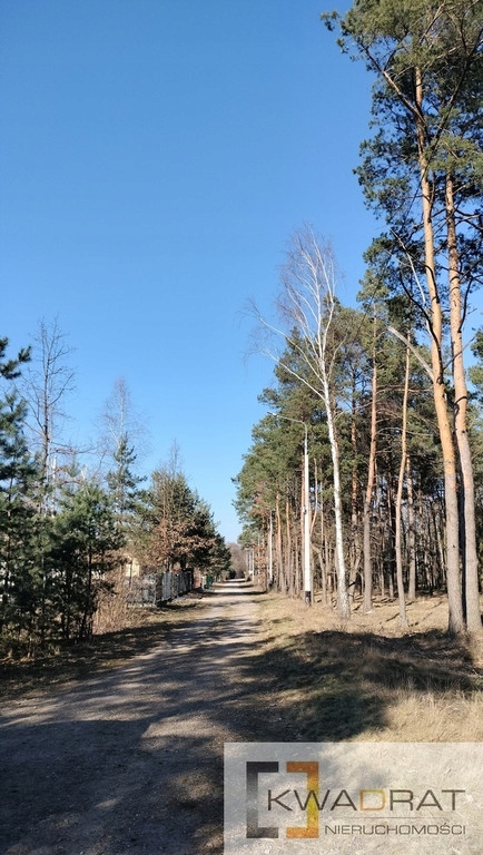 Działka, Karolina, Mińsk Mazowiecki, Miński, 4570 m²