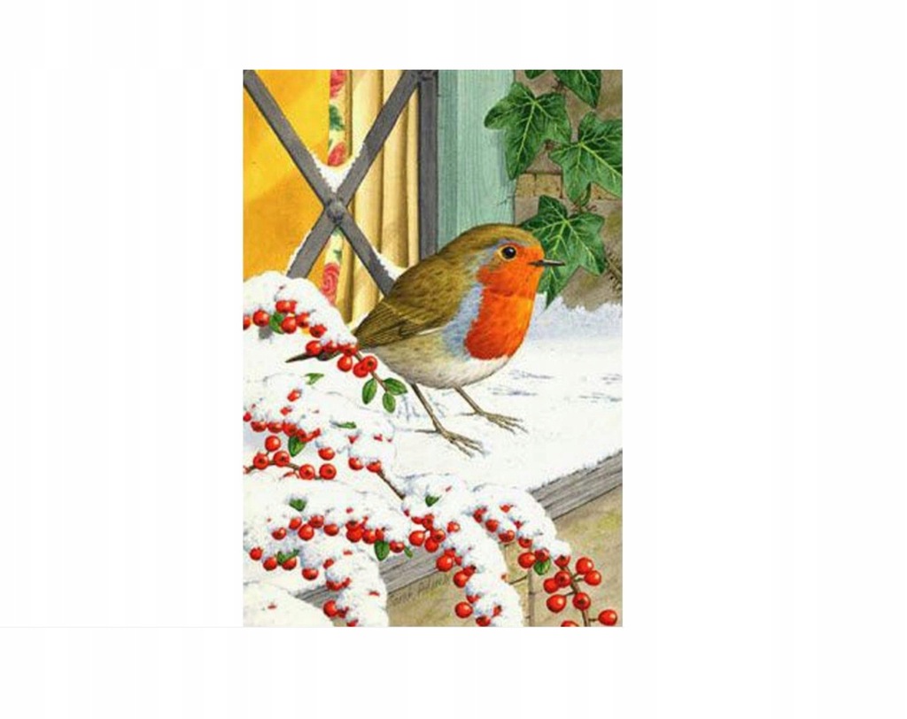 MALOWANIE PO NUMERACH GIL PTAK ZIMOWY + AKCESORIA