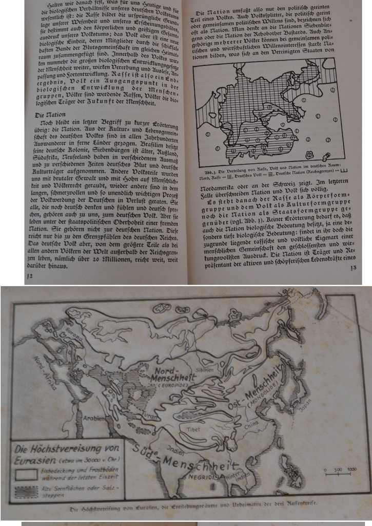 Купить РАСОВЫЕ ОСНОВЫ НЕМЕЦКОЙ НАЦИИ 1934 г.: отзывы, фото, характеристики в интерне-магазине Aredi.ru