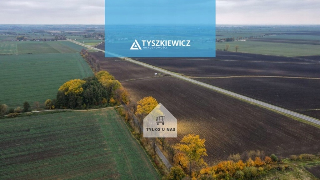 Działka, Gnojewo, Miłoradz (gm.), 110963 m²