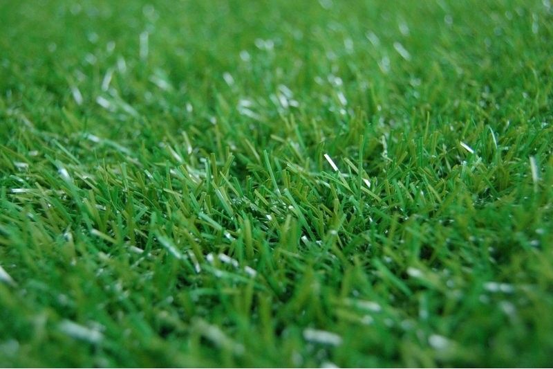 Составить предложение со словом бабочка. Трава. Зеленый газон искусственный. Зеленеют травы предложение. Предложение зеленая трава.