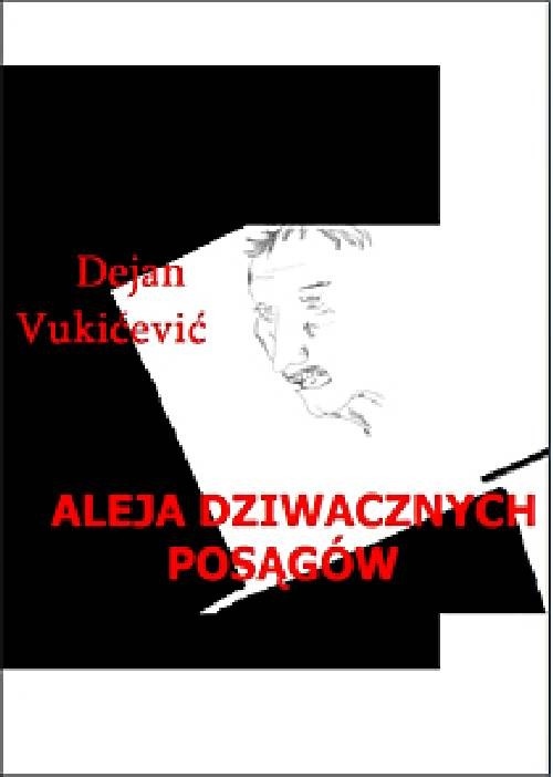 ALEJA DZIWACZNYCH POSĄGÓW DEJAN VUKIĆEVIĆ EBOOK