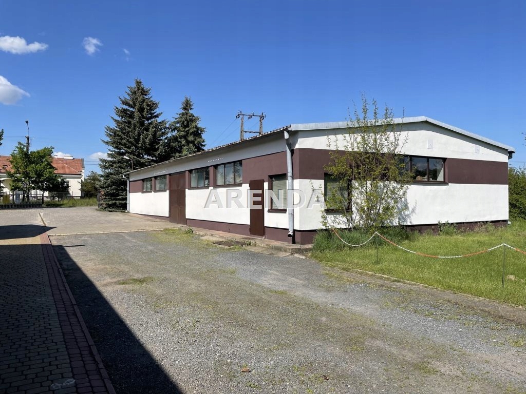 Magazyny i hale, Niwy, Osielsko (gm.), 240 m²