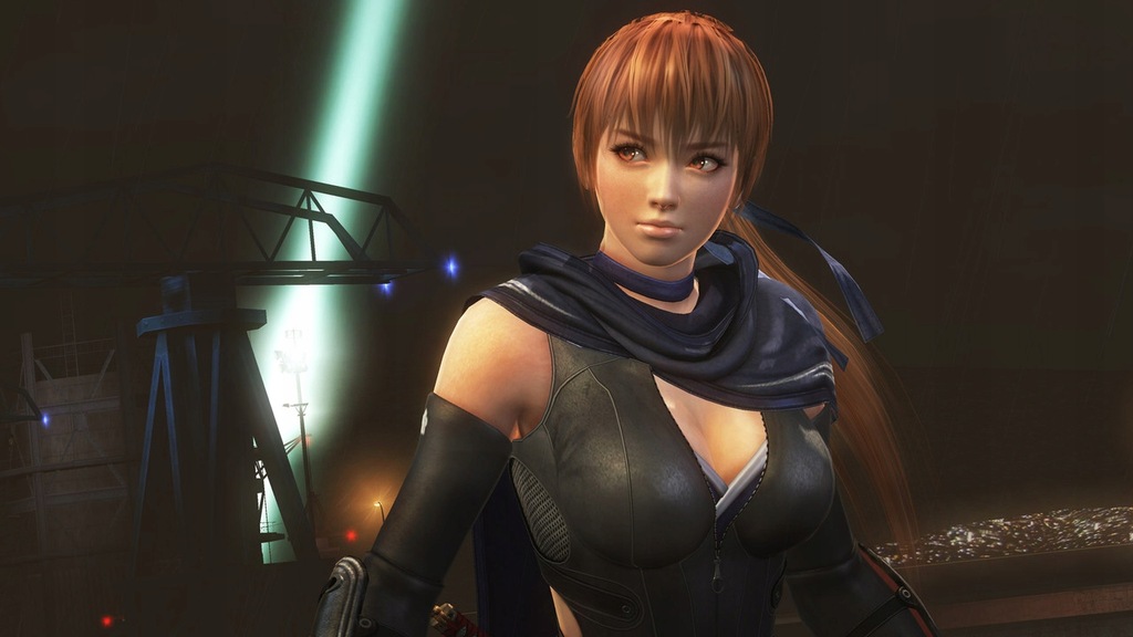 Купить Ninja Gaiden Master Collection Switch Slasher: отзывы, фото и ...