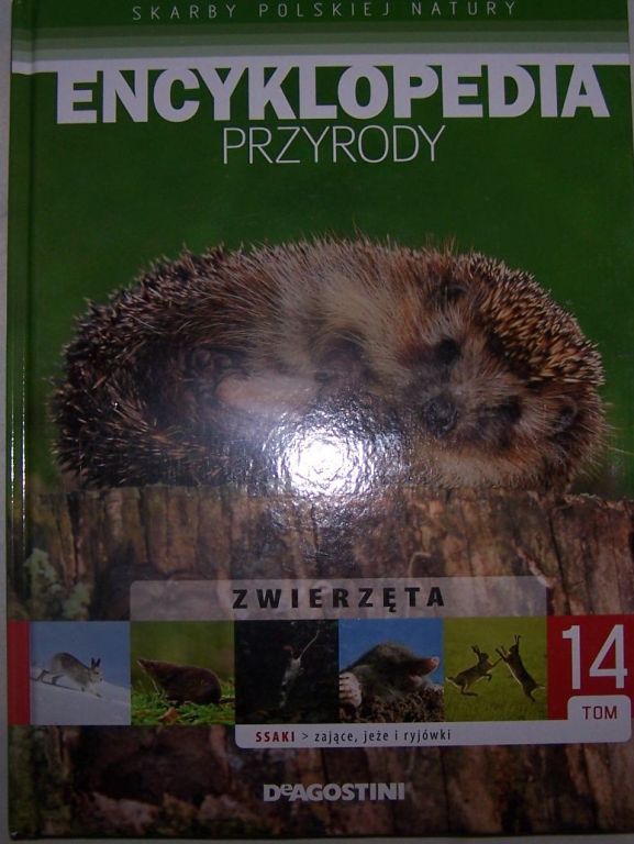 Encyklopedia przyrody - zające, jeże, ryjówki