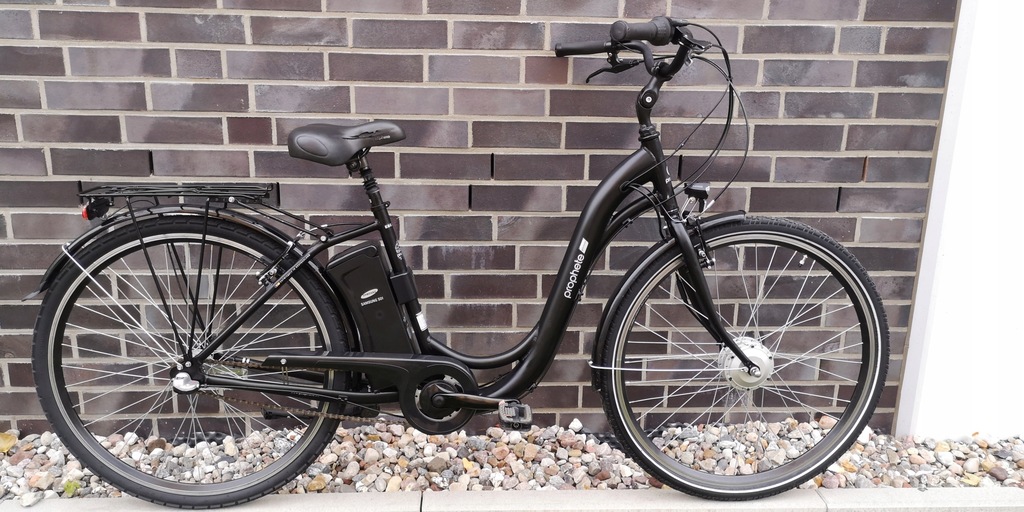Alu City Bike Bike Prophete PROPHETE Geniesser City E-Bike