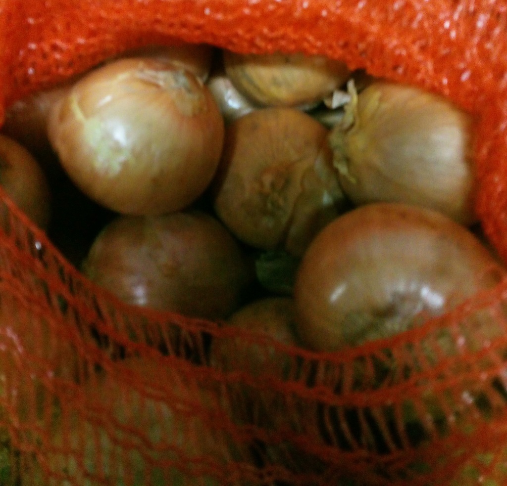 cebula luz 1 kg