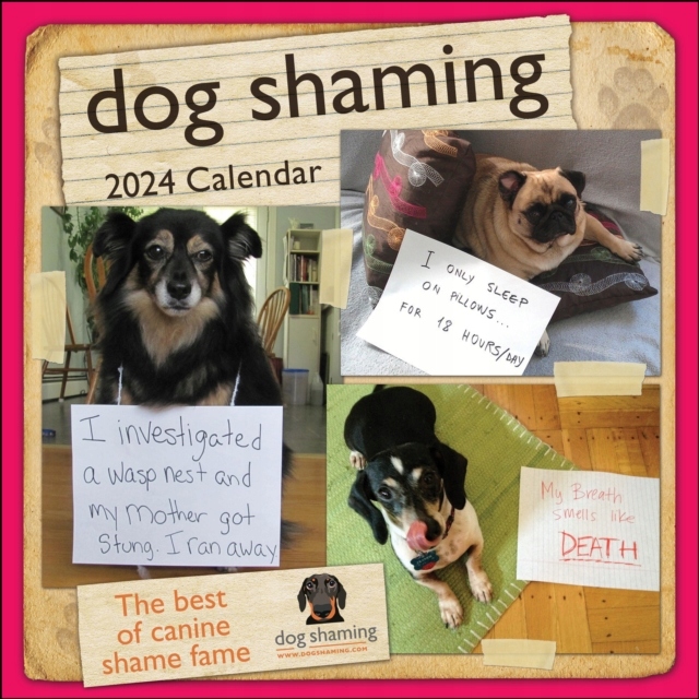 Dog Shaming 2025 Wall Calendar Pascale Lemire