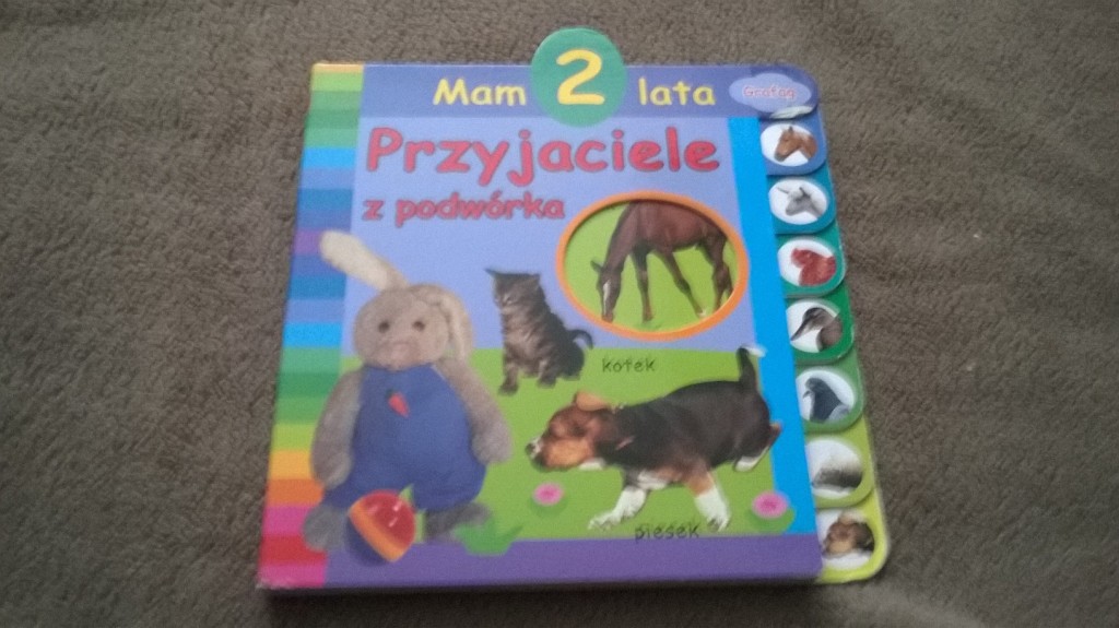 Charytatywna przyjaciele z podwórka