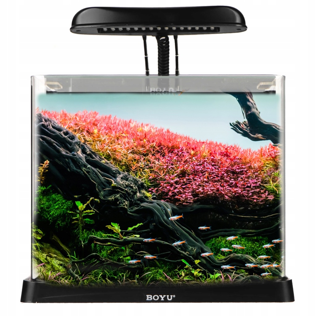 AKWARIUM Z PANELEM FILTRACYJNYM 16L NA PREZENT POD 12987505395