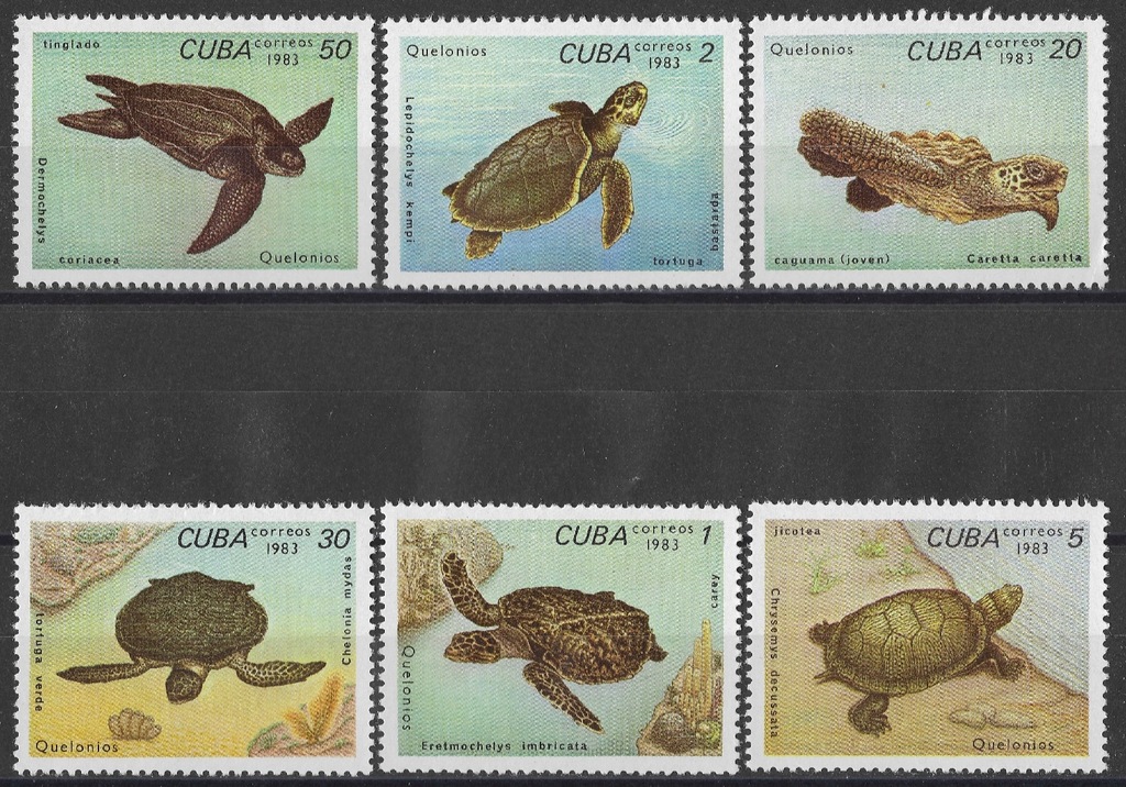 Kuba - fauna**(1983)