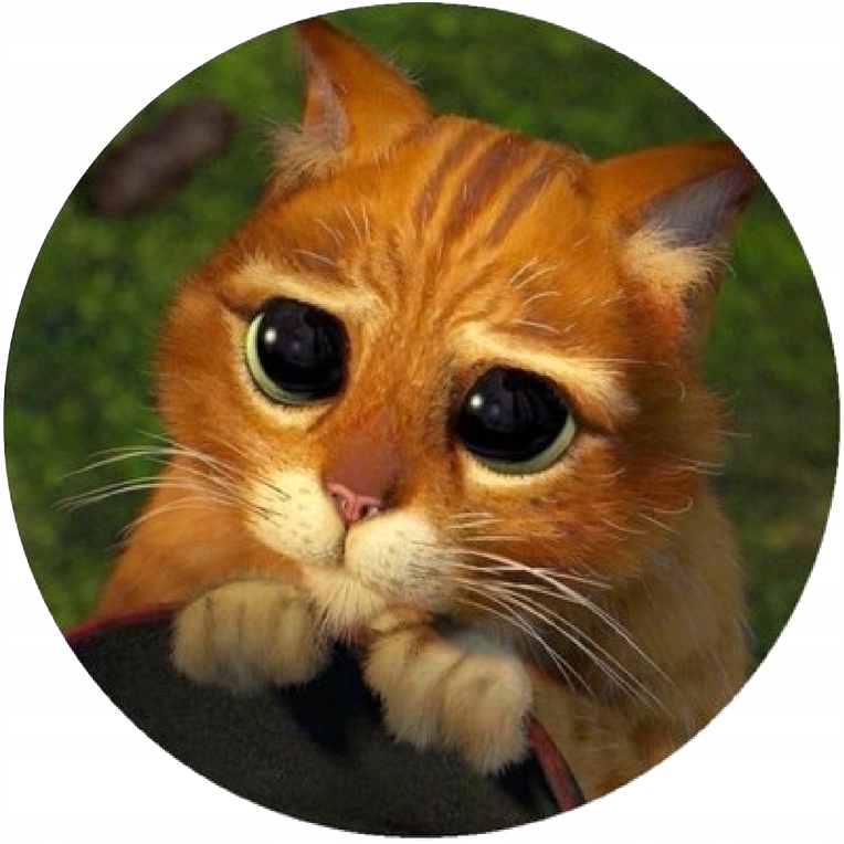 SHREK KOT W BUTACH uroczy gruby opłatek + gratis