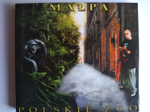 Małpa Polskie Zoo