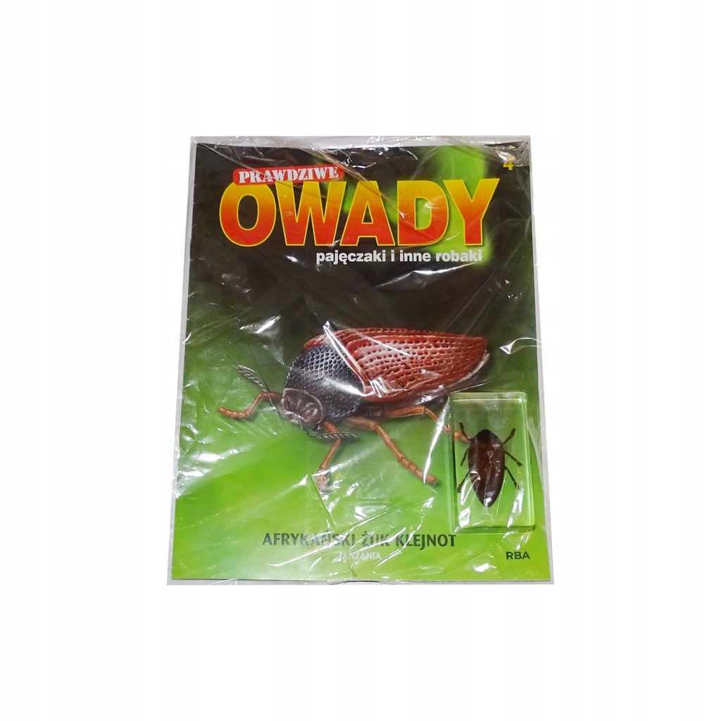 Kolekcja Prawdziwe Owady 4 AFRYKAŃSKI ŻUK KLEJNOT