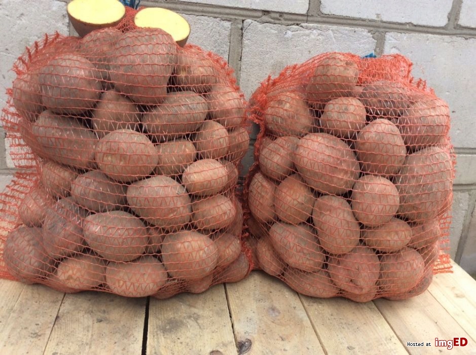 Ziemniak 15 kg Bellarosa czerwone smaczne 100% PL