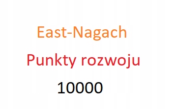 Punkty PR 10000 E EAST-NAGACH ZWROT 1.9 FORGE FOE