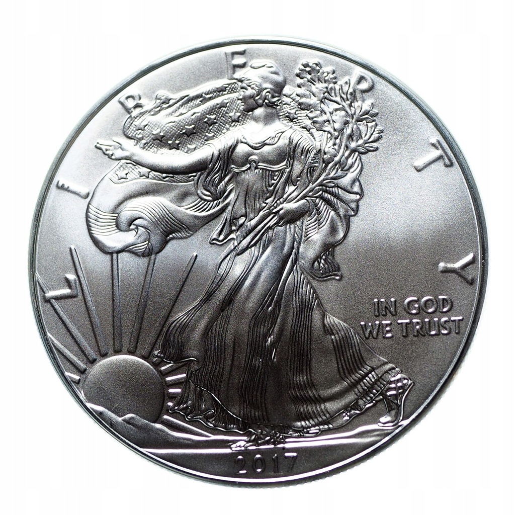 06022 1 Dolar, Dollar 2017 USA Silver Eagle st. 1