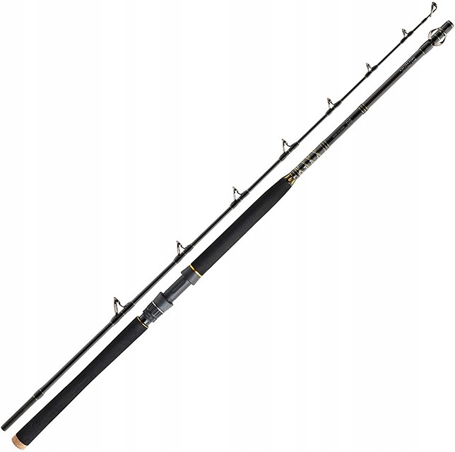 Wędka Daiwa BG Deep Sea 2,10m 150-400g