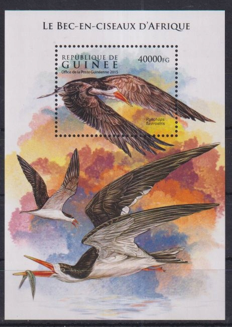 U92. Gwinea MNH 2015 Fauna - Ptaki