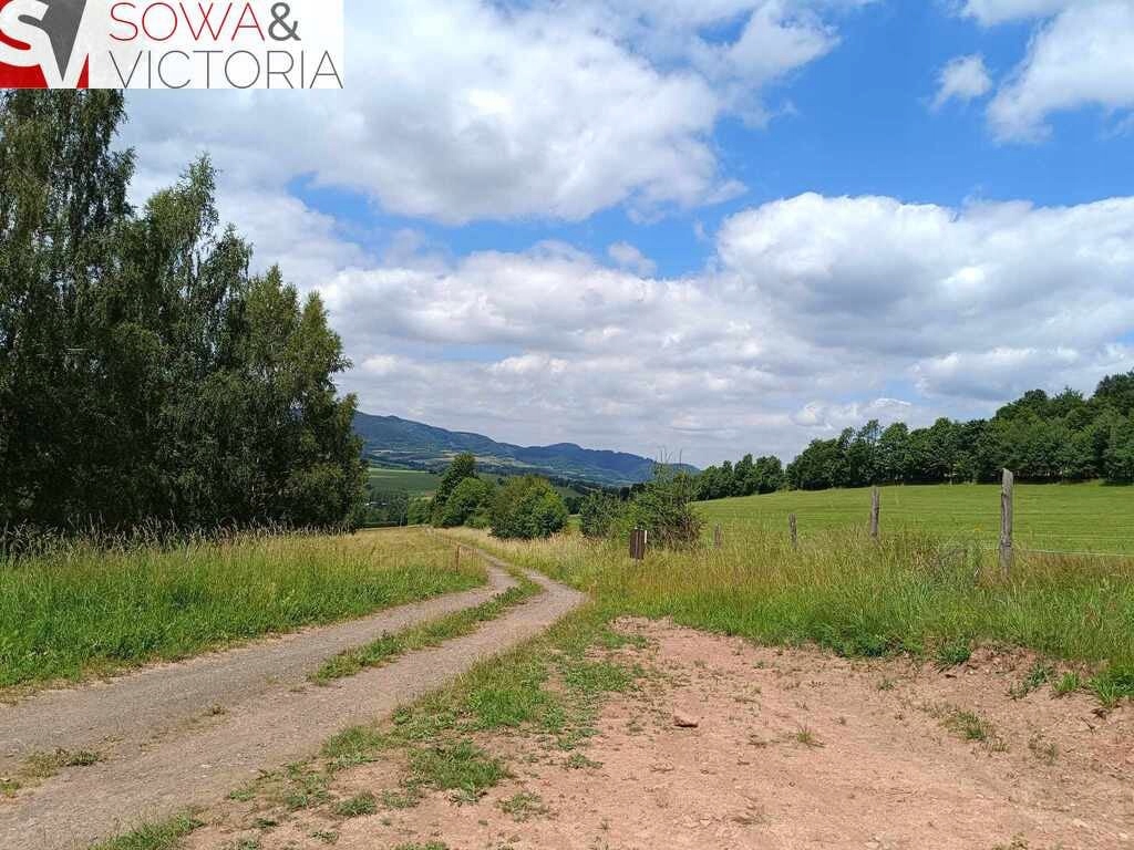 Działka, Głuszyca Górna, 3100 m²