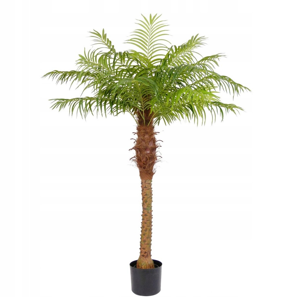 Palma sztuczna 200cm w doniczce Splendid Leroy Merlin